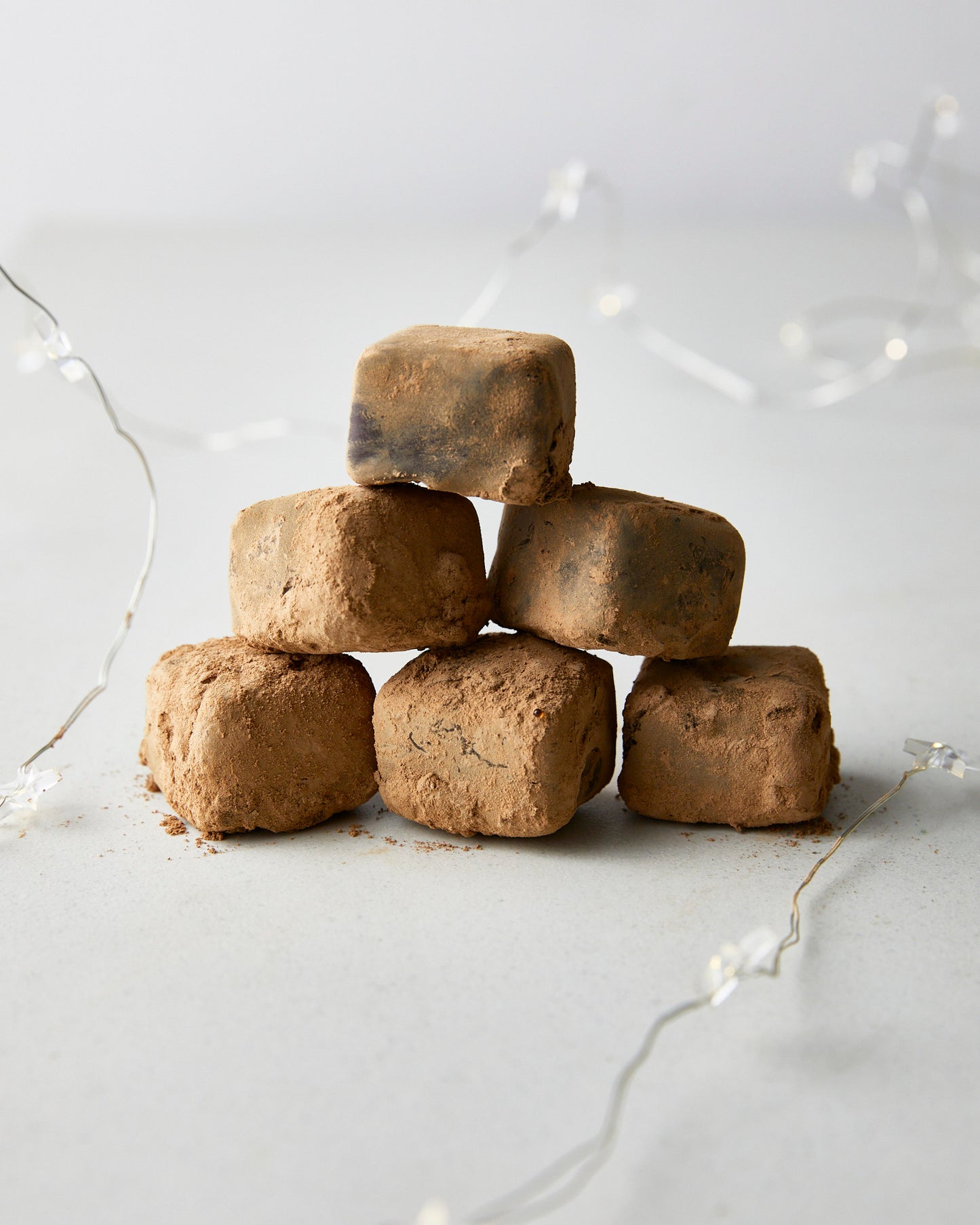 Lion's Mane Brain Truffles